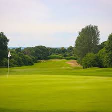 Image result for Lingfield Cricket Club