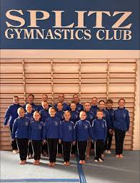 Image result for Splitz Gc