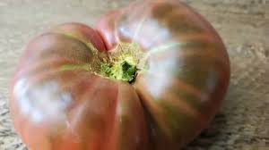 Afbeeldingsresultaat voor dark purple beefsteak tomato