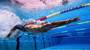 Image result for Swimming