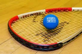 Image result for Beaconsfield Squash Club