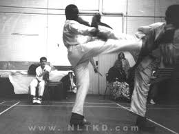 Image result for Bytomic Tae Kwon Do London North