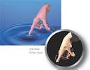 CSA Newsletter, Winter, 2007: A Survey of Methods for Showing ... 