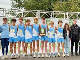 Image result for Hambro Colts Y F C