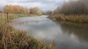 Image result for Dunham Massey Angling Club
