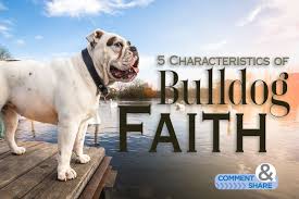 Image result for Bulldogs Power and strength