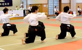 Image result for Exeter Taido Club