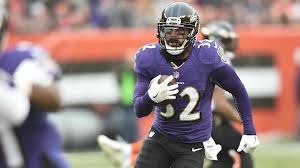 Image result for Merseyside Ravens