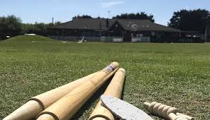 Image result for Owermoigne Cricket Club