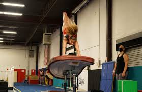 Image result for Harlequin Gymnastics Club
