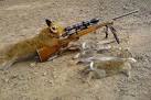 Hunter News, Videos, Reviews and Gossip - Gizmodo