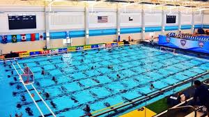 Image result for City of Preston Aquatics