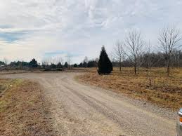 Image result for Carman Stables