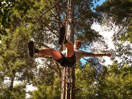 Image result for Go Ape! Moors Valley