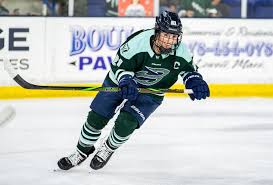 Image result for Fleet Hockey Club