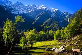 Image result for himachal pradesh