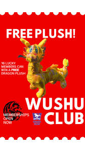 Image result for Dragon Wushu Club