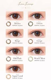 「ネオサイトワンデーシエル」の画像検索結果