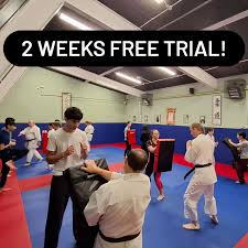 Image result for Oxford University Shorinji Kempo Club