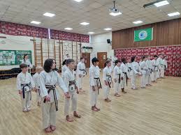 Image result for Henley Shotokan Karate Club