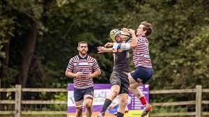 Image result for Crewe & Nantwich Rugby Union Football Club