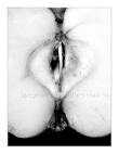 forbidden fruit by ~apeyron on deviantART