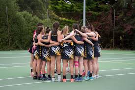 Image result for Timsbury Netball Club