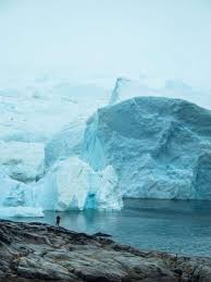 Image result for Ildblomkarse