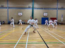 Image result for Kenshukai Karate