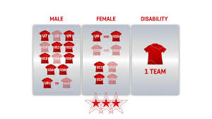 Image result for Milford Pumas Football Club