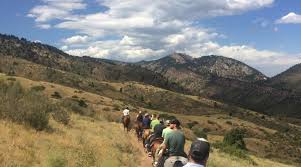 Image result for Cliff Hatch Stables