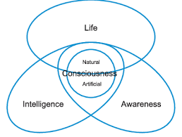 Image result for consciousness