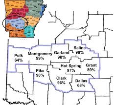 Image result for SEM micrographs of Novaculite Arkansas