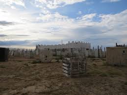 Image result for Blitz Paintball