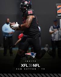 Image result for Sutton Vipers