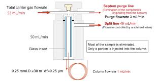 Image result for Splitz Gc