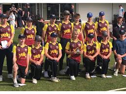 Image result for Wembdon Cricket Club