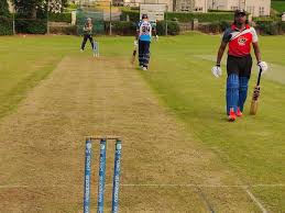 Image result for Downpatrick Cricket Club
