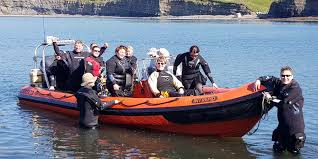 Image result for Surrey Aquanauts B S A C 0689