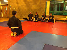 Image result for Budo Warrior Schools