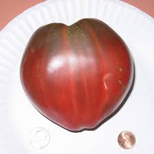 Afbeeldingsresultaat voor black oxheart tomato