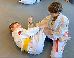 Image result for GBMAA EPSOM AND LEATHERHEAD MARTIAL ARTS ACADEMY