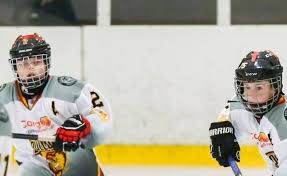 Image result for Bradford Hockey Club