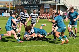 Image result for Luctonians Cricket Club