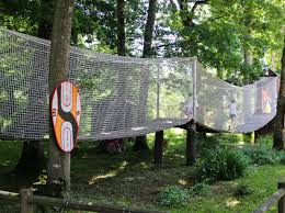 Image result for PONT DE SINGE