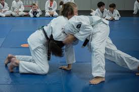 Image result for Anfield Youth Activity Centre Judo Club