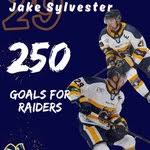 Image result for Romford Raiders