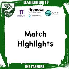 Image result for Leatherhead Football Club