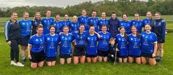 Image result for Erin`s Own Gaelic Athletic & Social Club