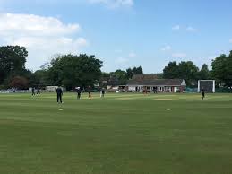 Image result for Shalford Cricket Club